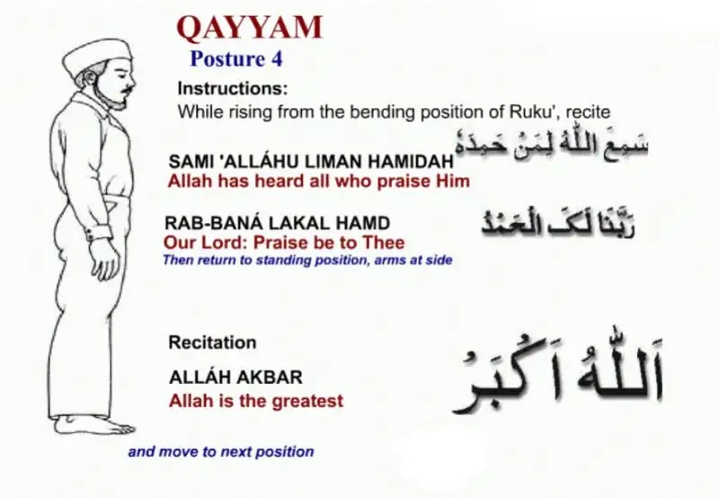 Qaumah — Standing Straight after Ruku